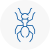 Ant Removals In Canvey Island