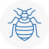Bed Bug Extermination In Canvey Island