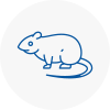 Rat Control Canvey Island