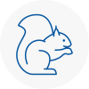 Canvey Island Rodent Removals